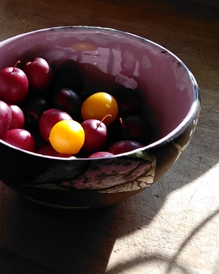 Blossom Bowl