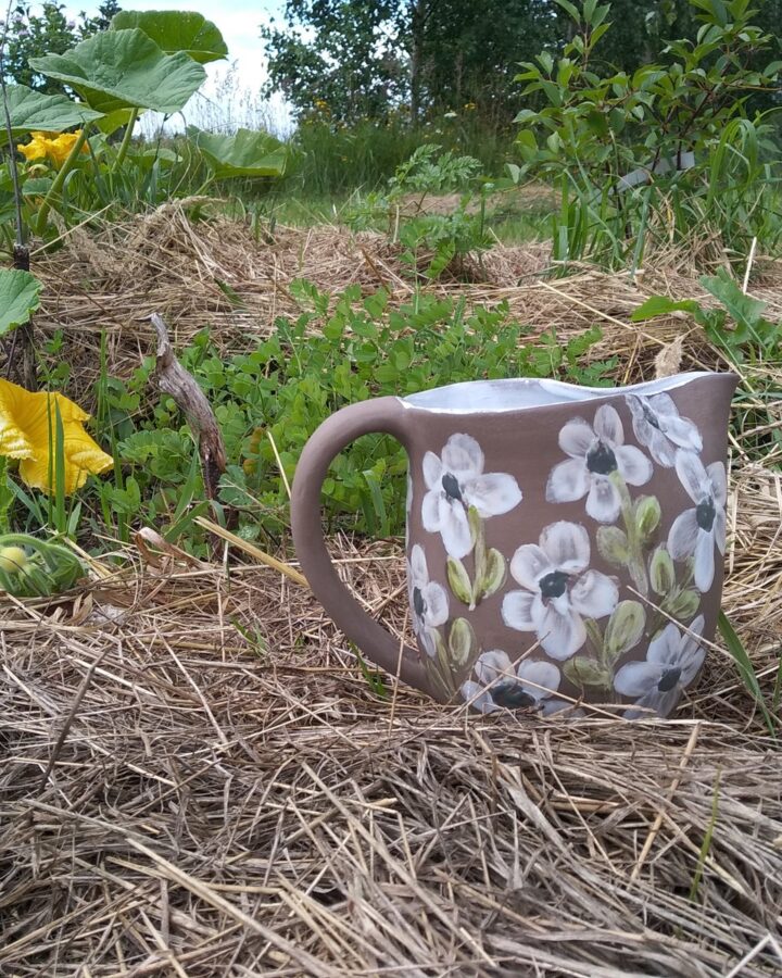 Daisy Mae Pitcher