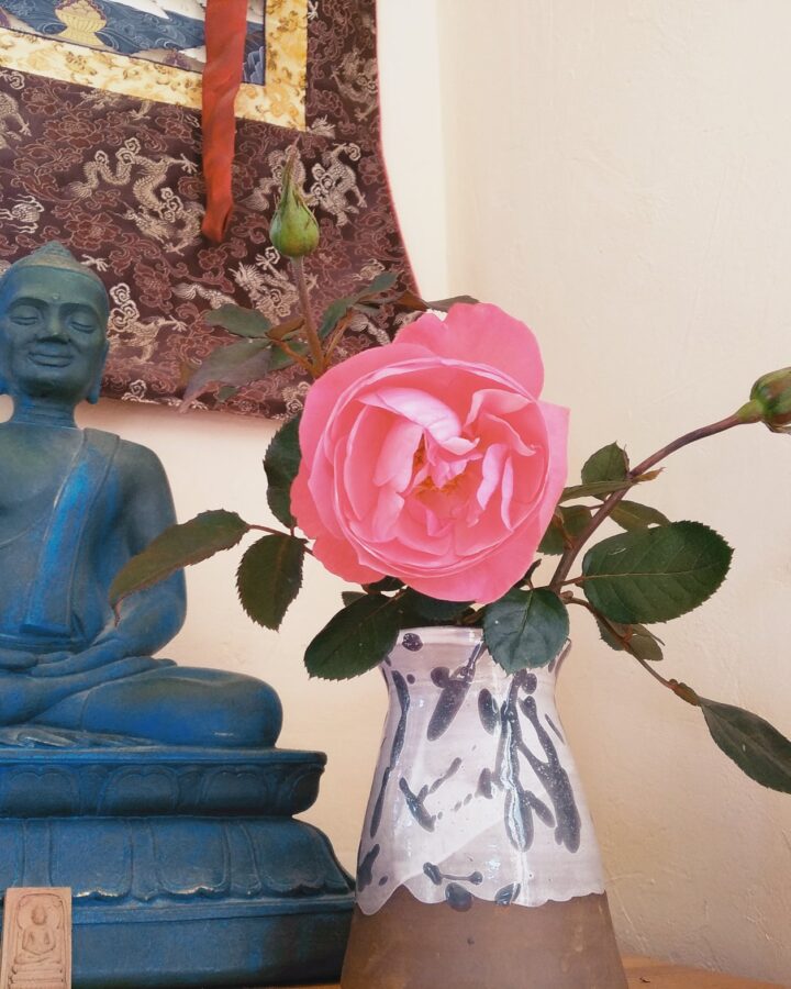 Zen Blossom Vase