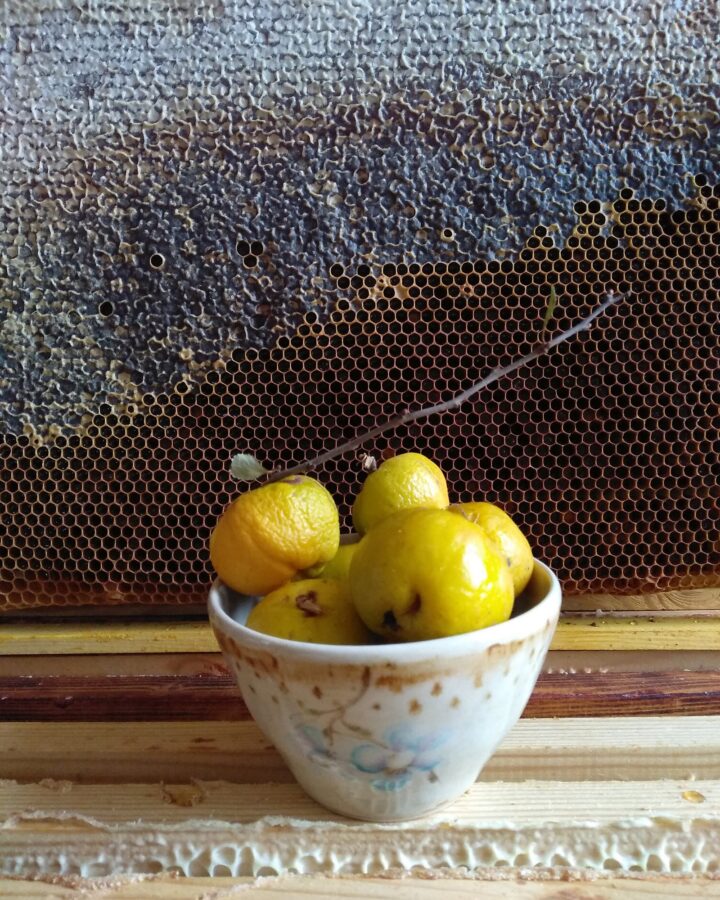 Honey Bloom Bowl