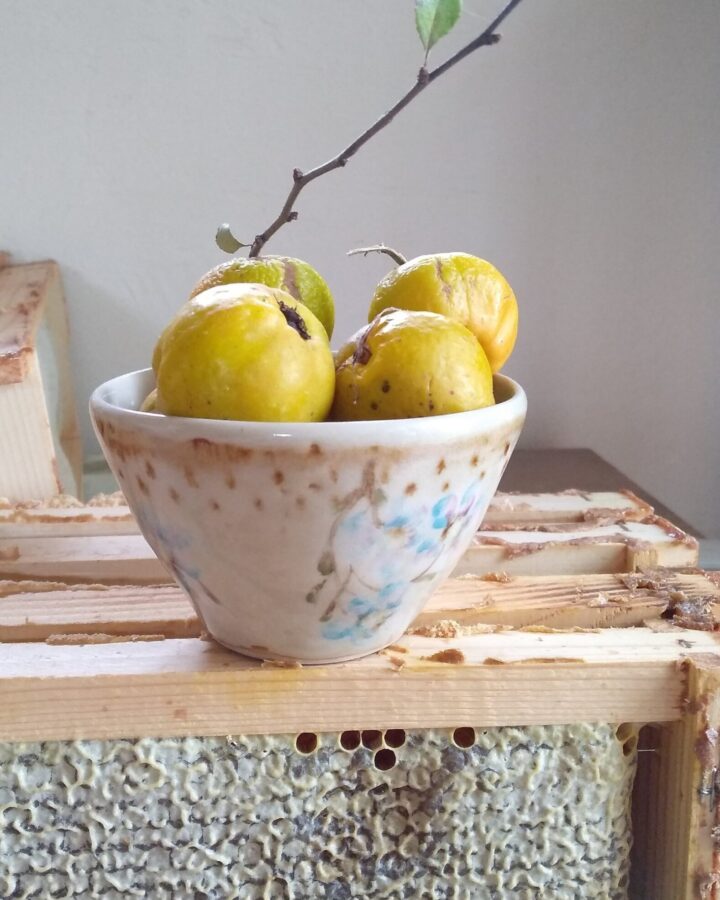 Blossom Dreamer Bowl