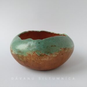 Verdant Horizon Bowl