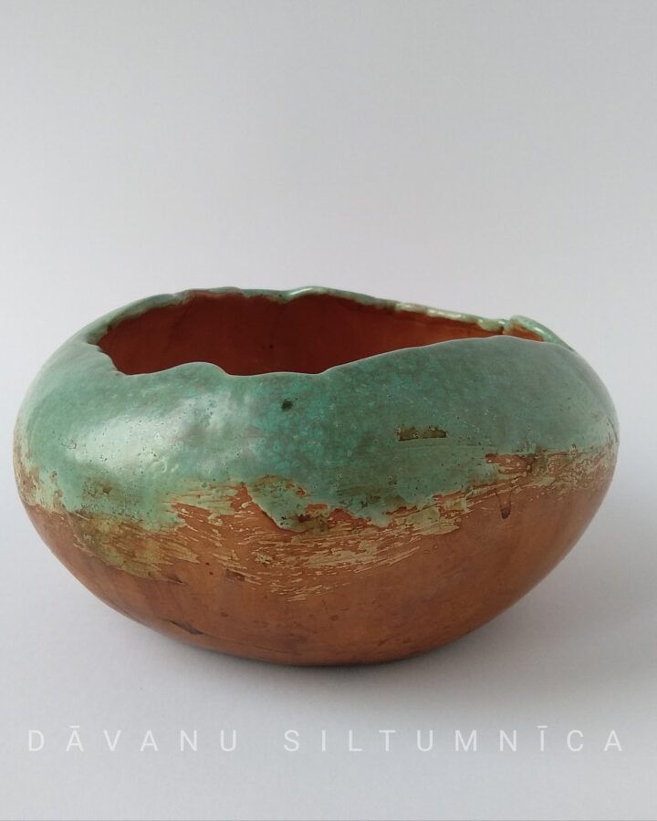 Verdant Horizon Bowl