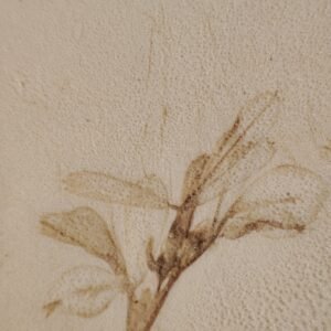 Terra Impression Plate